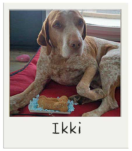 Ikki avec ses biscuits personnalisés